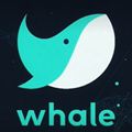 naver whale鲸鱼浏览器绿色增强版