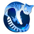 IceCat(冰猫浏览器) 官方版v78.2.0