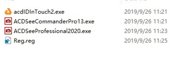 ACDSee Pro 2020补丁