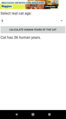 猫年龄