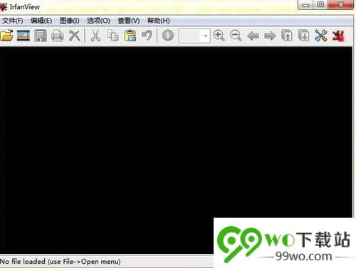 IrfanView Commercial v4.54