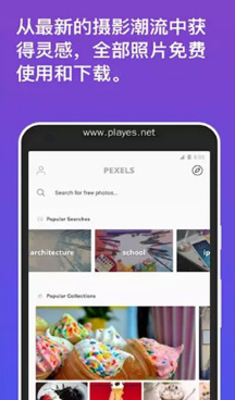 Pexels手机版