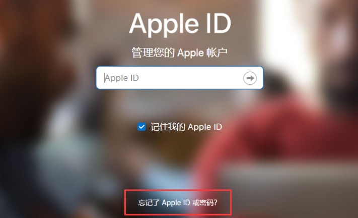 iphone12登陆不了appleid怎么办