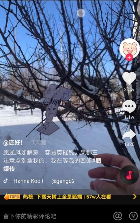 抖音下雪天树上全是甄嬛是什么梗